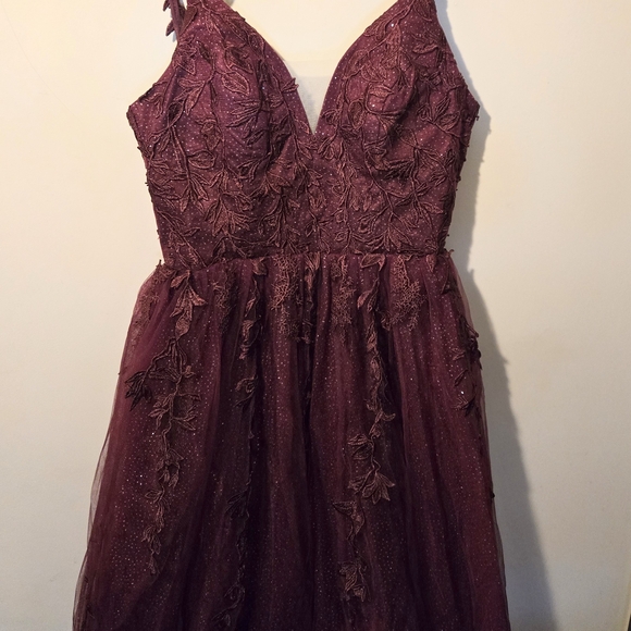 Elegant Burgundy Lace Dress - Picture 10 of 12